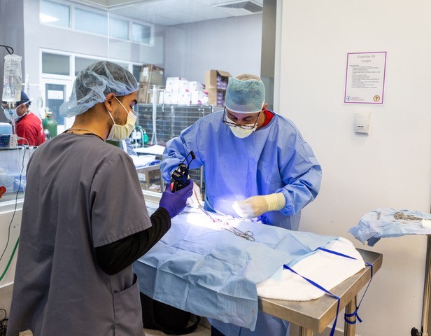 John de Jong_Surgery