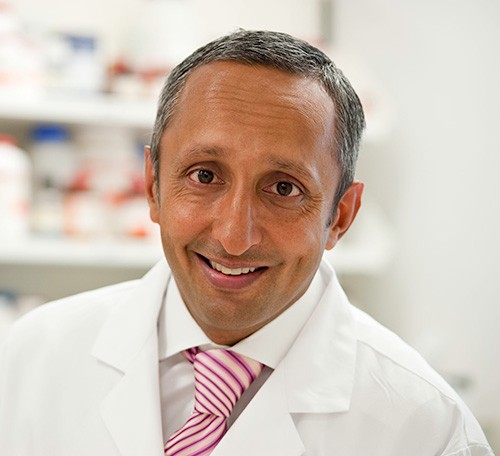 D R Chand WSAVA - supported oncology manuscript highlights the benefits to humans ...