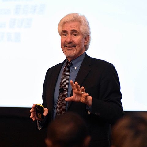 WSAVA One Health Certificate – final four modules ready in February!