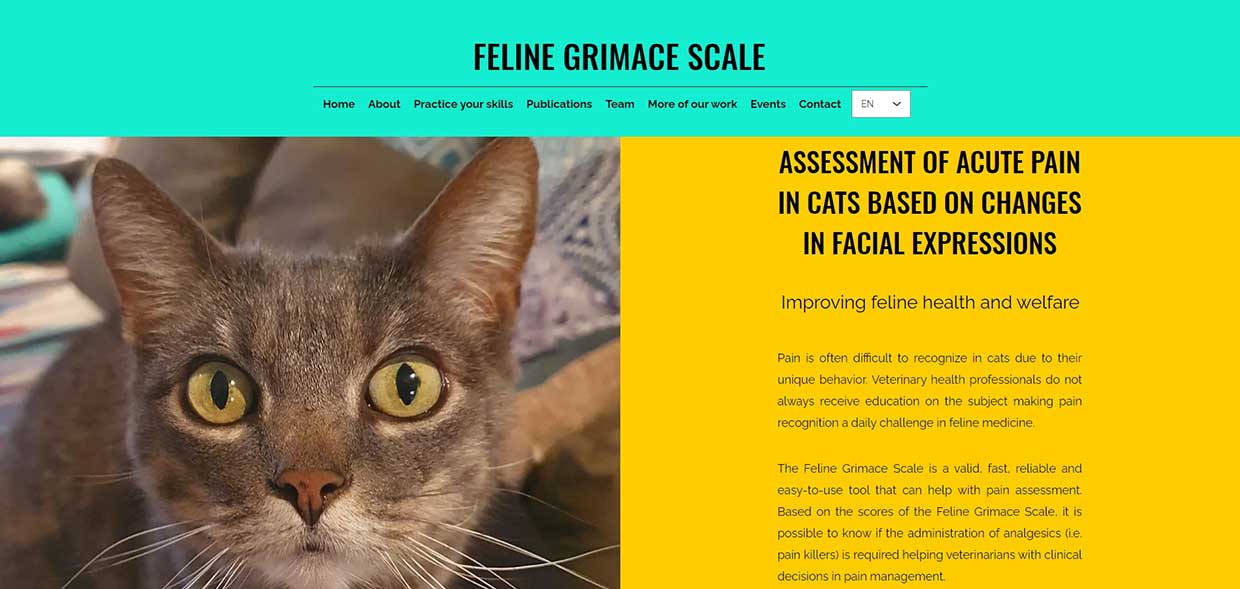 Feline-Grimace-Scale-Website-1