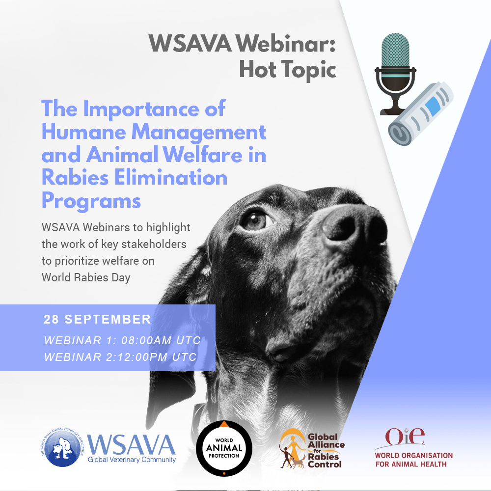 Webinar: The importance of humane management and animal welfare in rabies  elimination programs