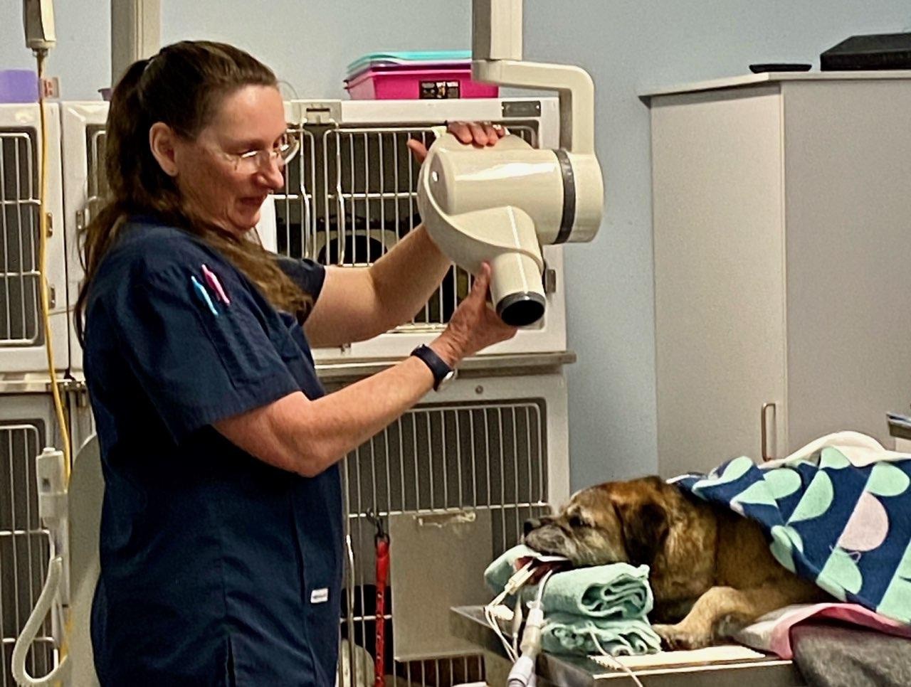 Maggie Burley profile