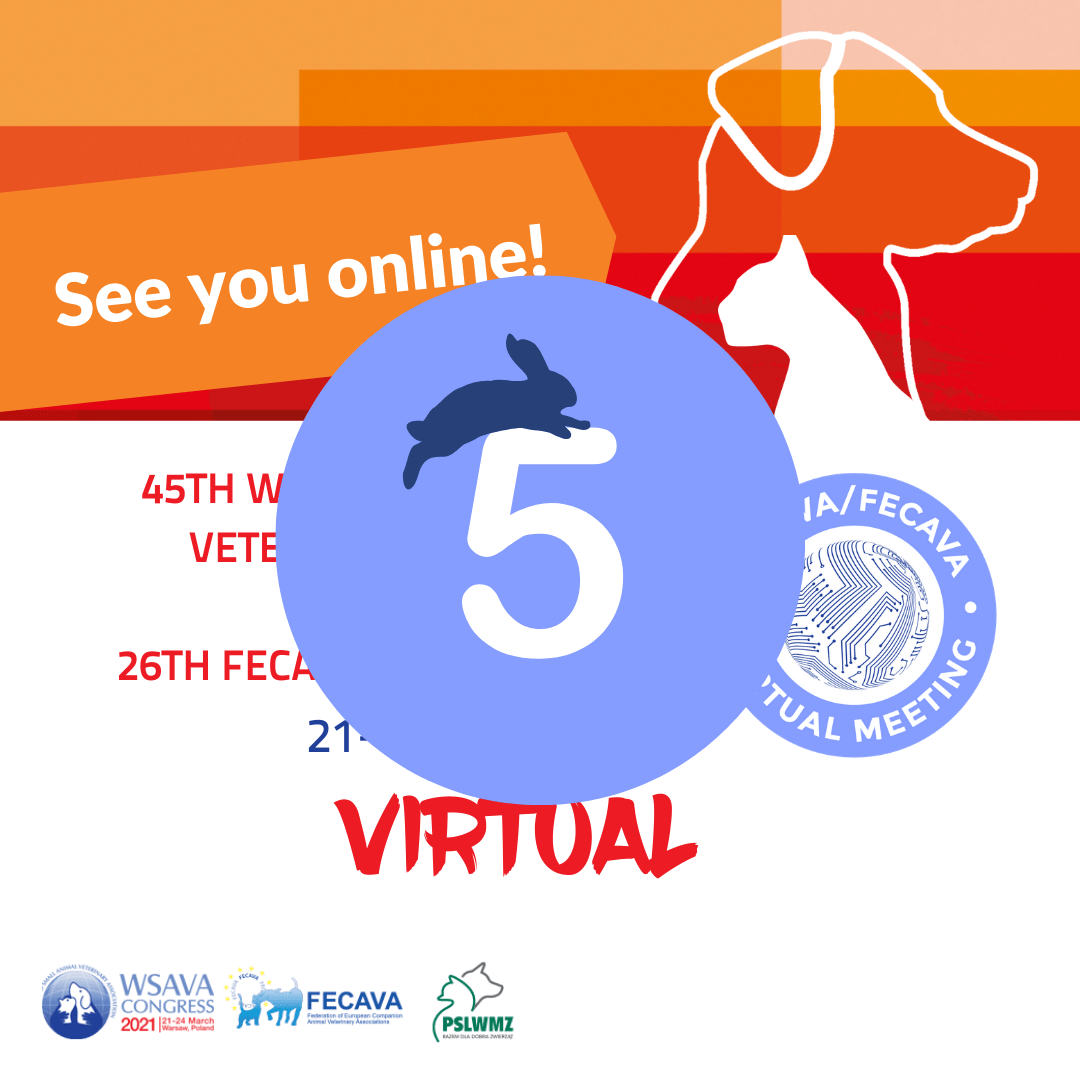 2020 Countdown – Congress – Insta