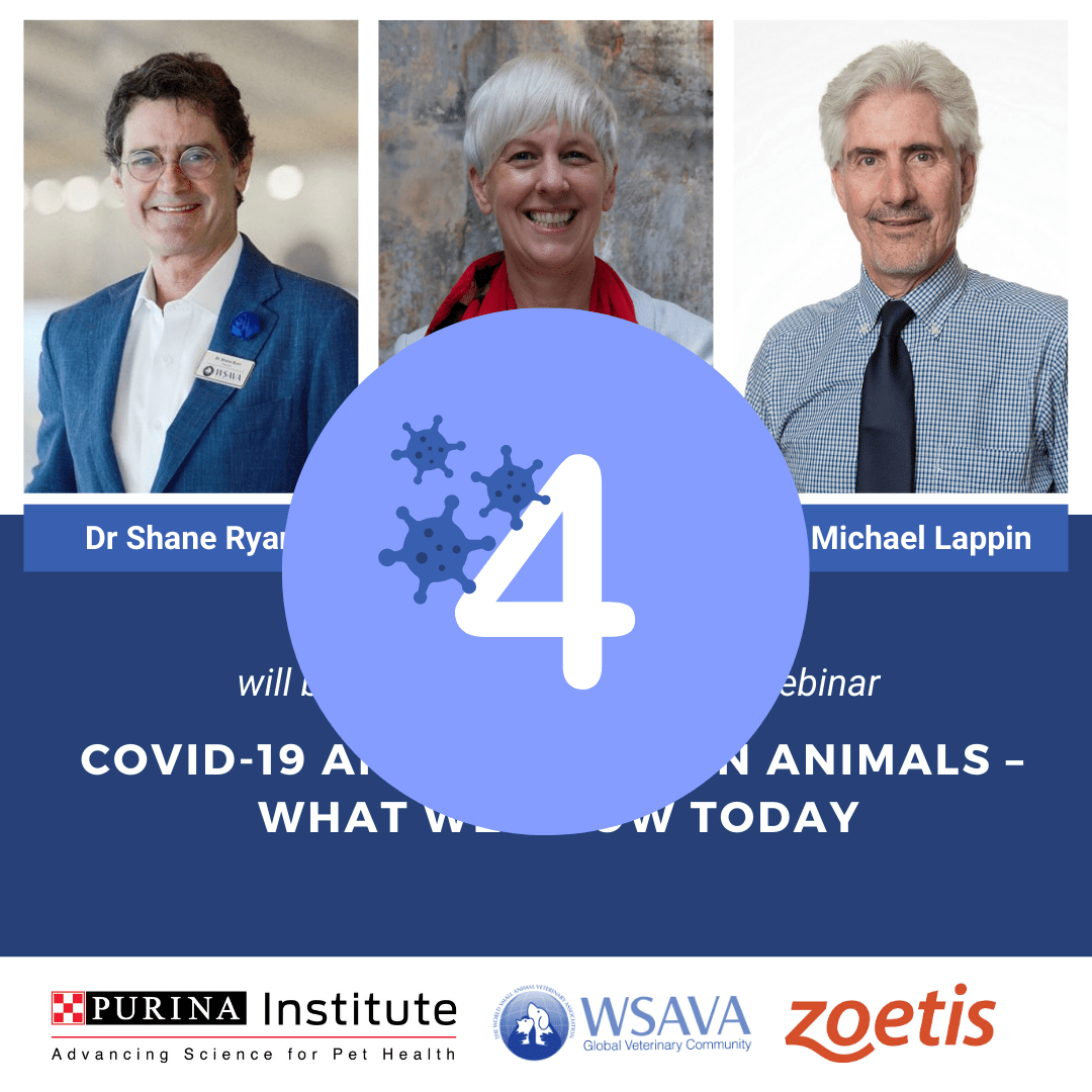 2020 Countdown – Speakers – WSAVA Webinar COVID-19 – Insta
