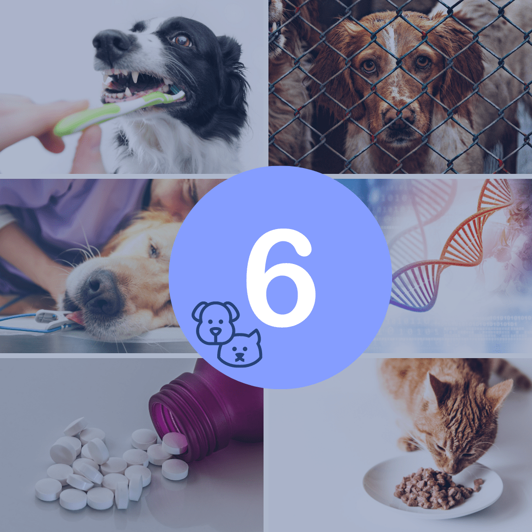 2020 Countdown_ Guidelines – Insta