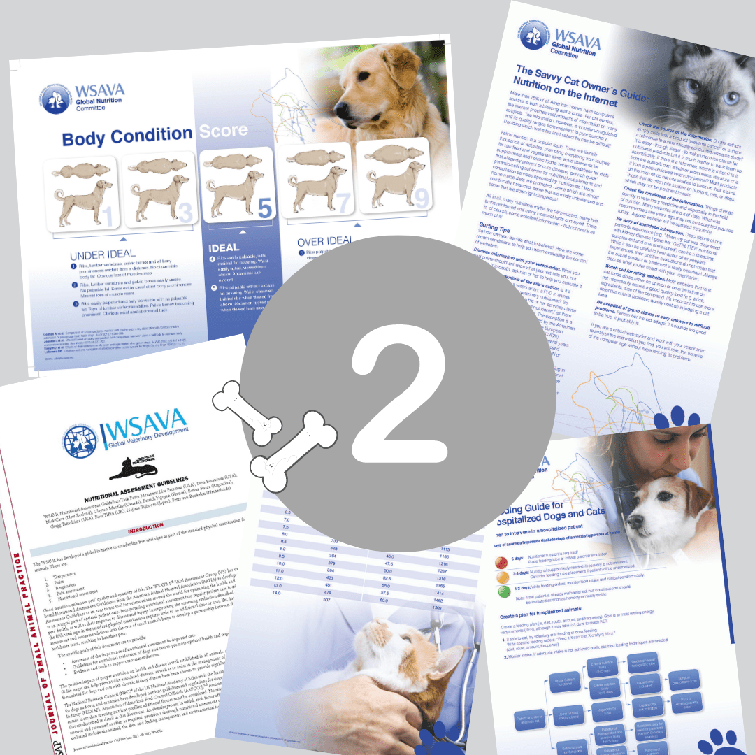 2020 Countdown_ Nutrition Guidelines – Insta