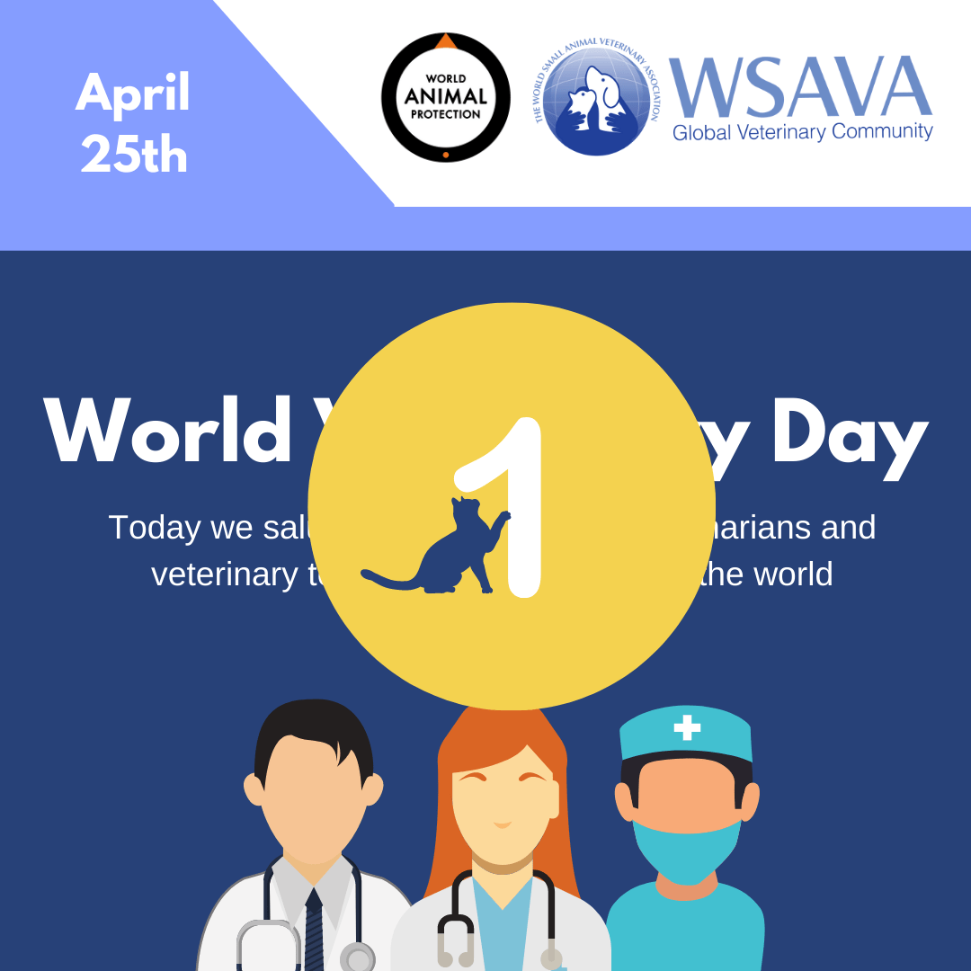 2020 Countdown_ World Veterinary Day – Insta