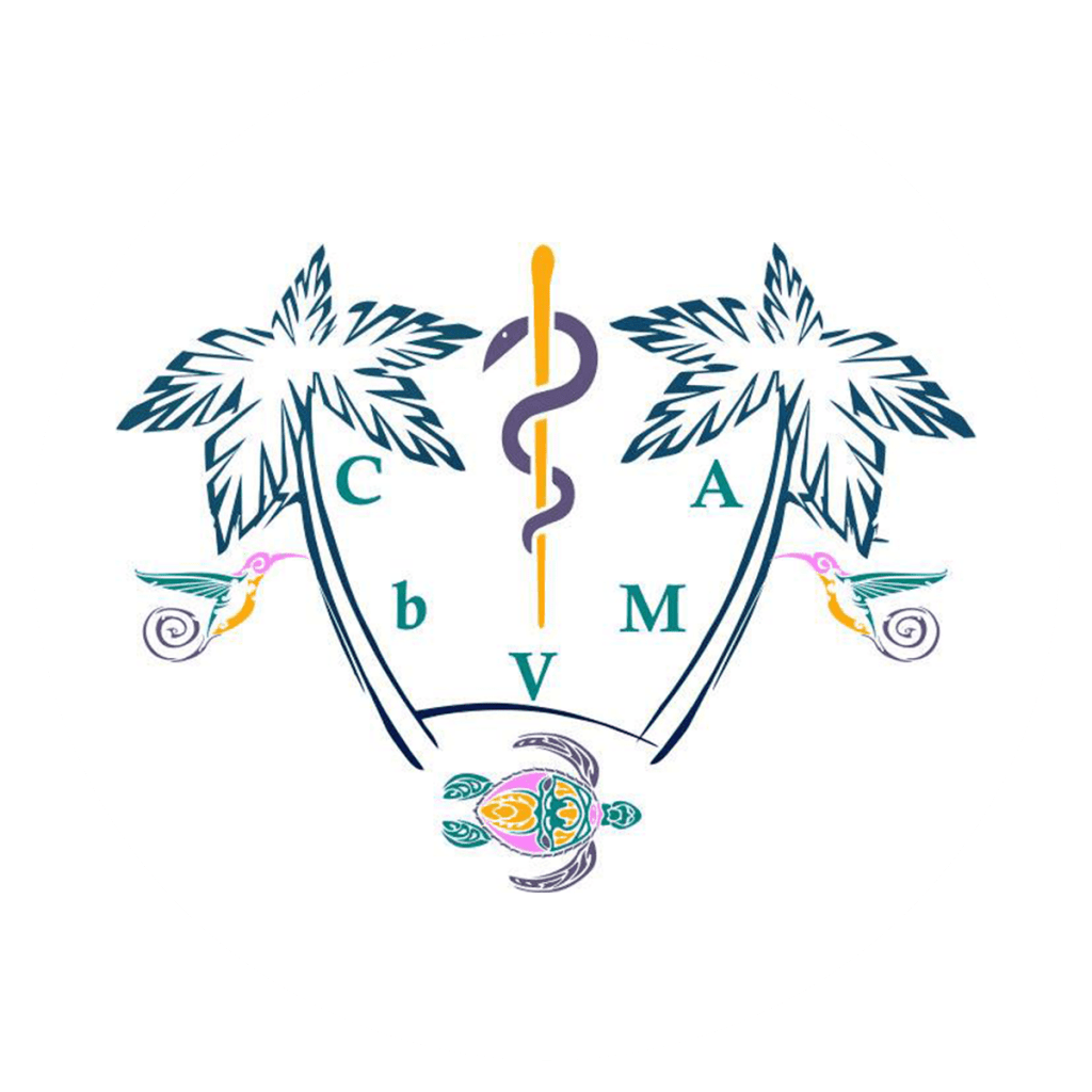 Illustration of a logo of a veterinary clinic. 21808928 Vector Art at  Vecteezy