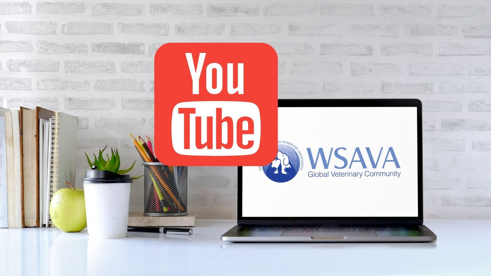 YouTube - WSAVA Vet