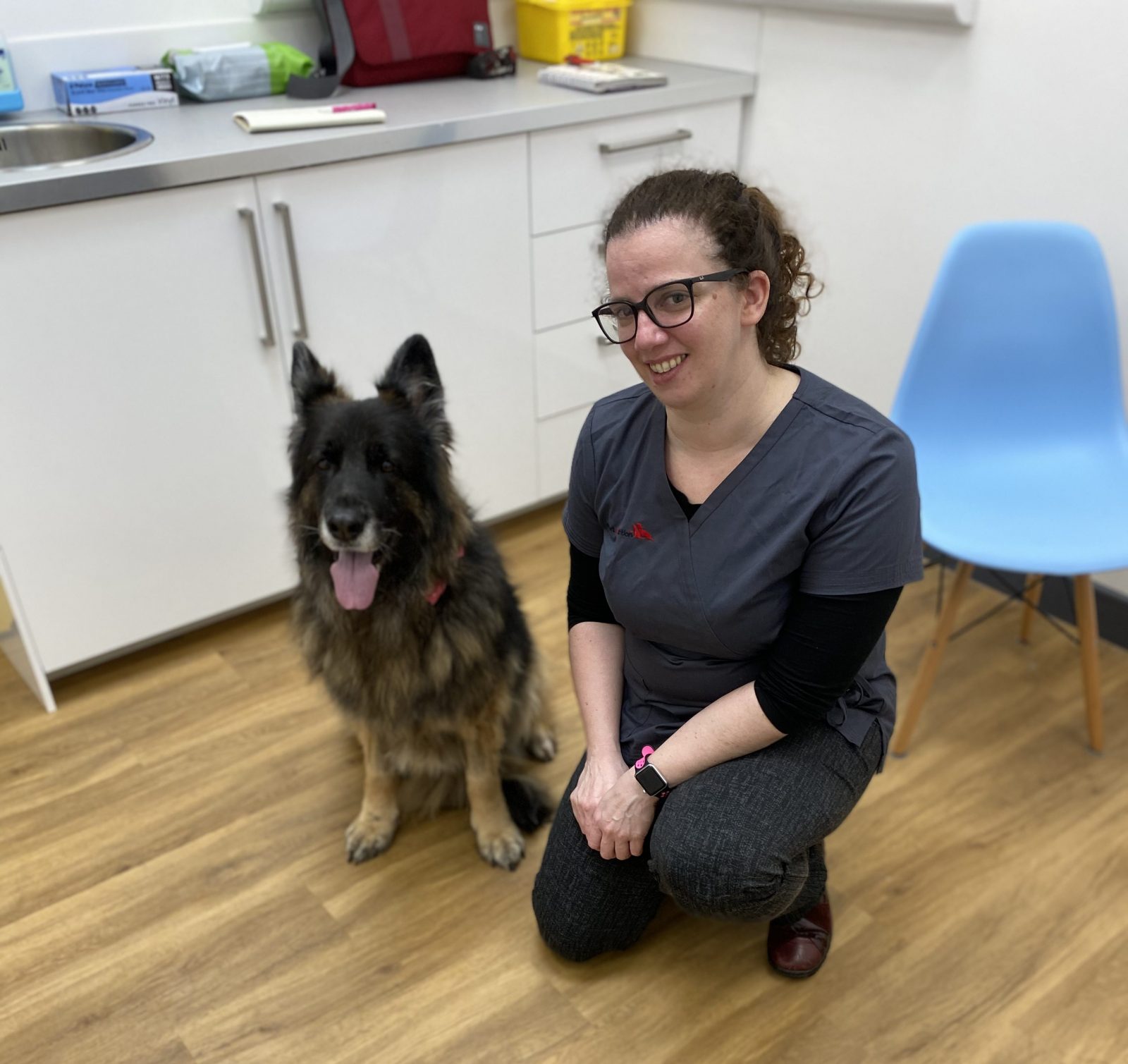 WSAVA Interview – Dr Cecilia Villaverde