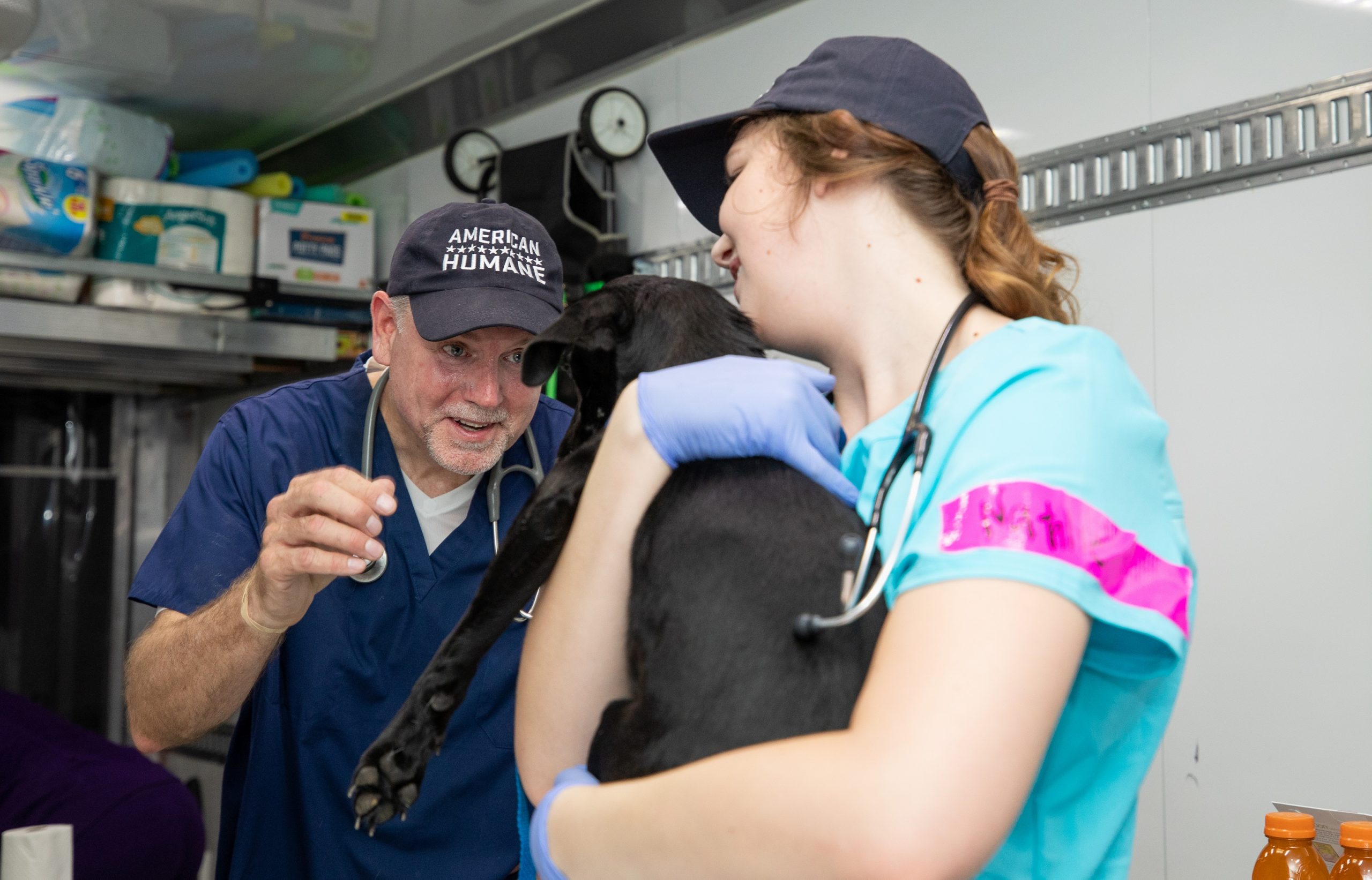 WSAVA Interview – Dr Mike McFarland