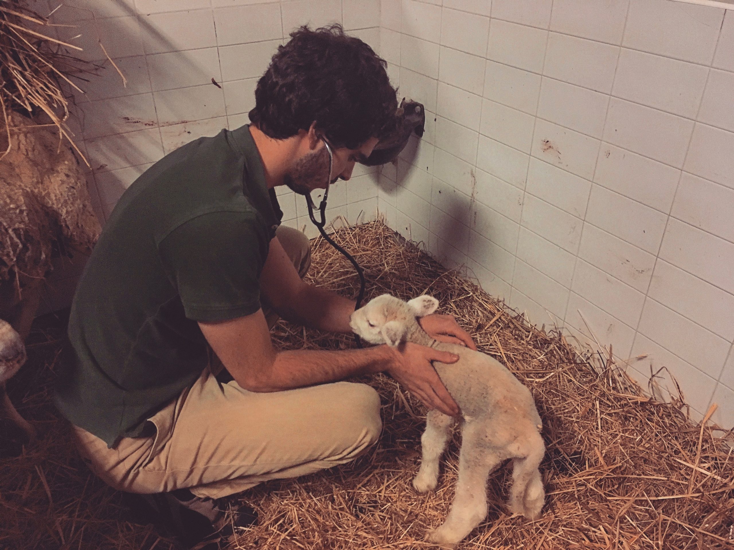 WSAVA Interview – Xavier Canavilhas 