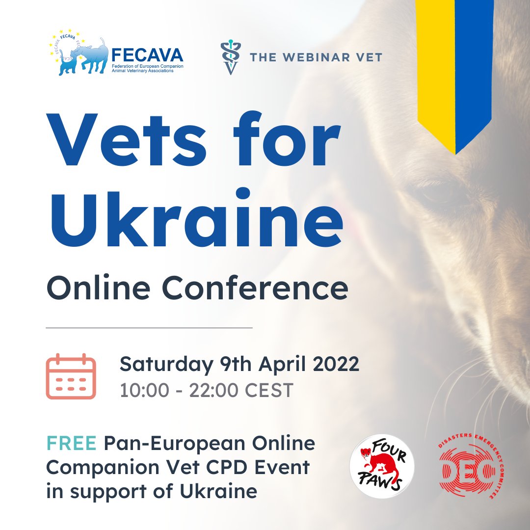 VetsForUkrainetwitter