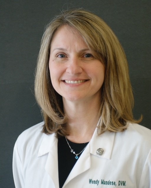 Wendy Mandese