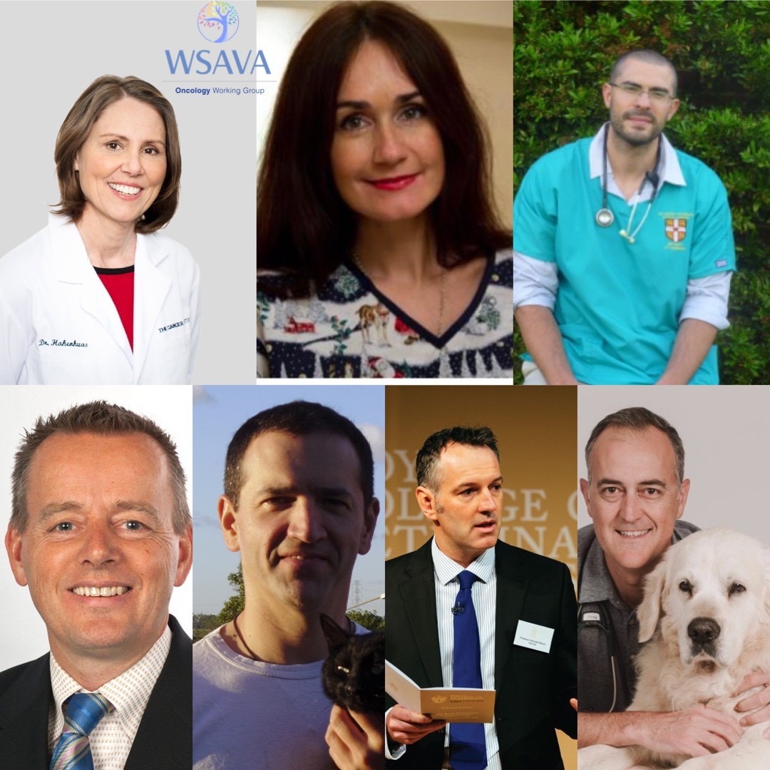 WSAVA Oncology Working Group
