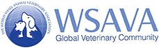 wsava-logo-theme